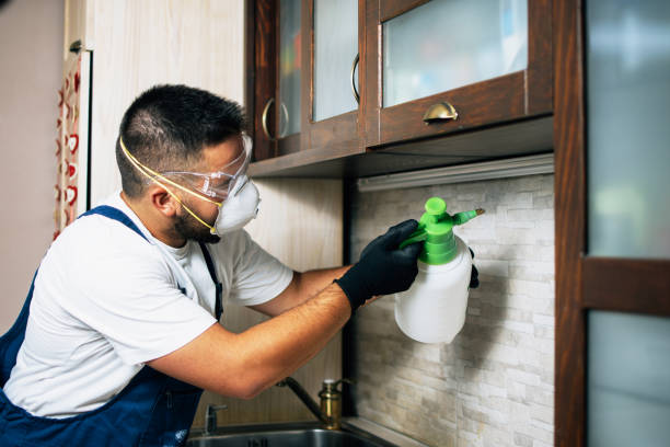Reliable Calvert City, KY Pest Control Solutions