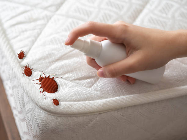 Best Pest Control Near Me in Calvert City, KY