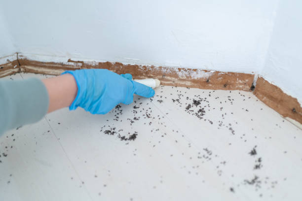 Best Commercial Pest Control Services  in Calvert City, KY
