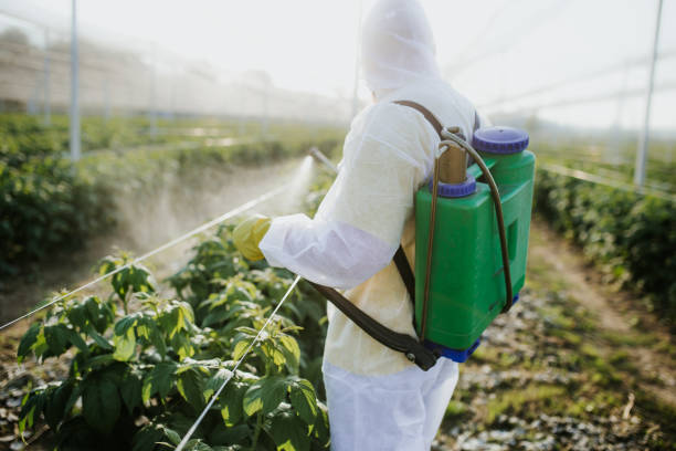 Best Insect Control  in Calvert City, KY